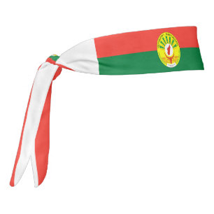 Patriótico elegante de la bandera de Madagascar