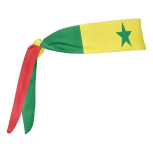 Patriótico elegante de la bandera de Senegal
