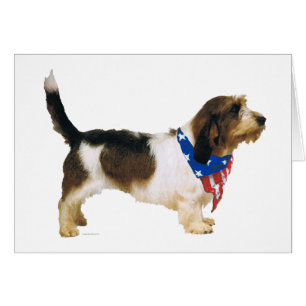 Patriótico Petit Basset Griffon Vendeen