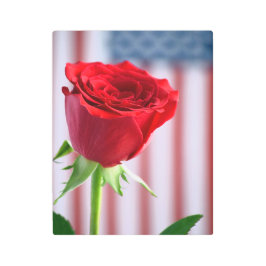 Patriotismo arte mural Metalizado