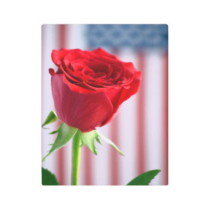 Patriotismo arte mural Metalizado