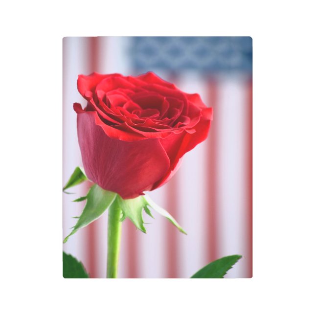 Patriotismo arte mural Metalizado (Anverso)