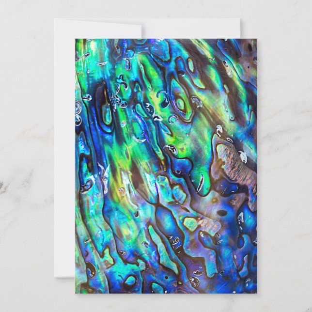 Patrón 1 de trama de Abalone Paua de Nueva Zelanda (Anverso)