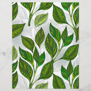 Patrón continuo con hojas de té verde