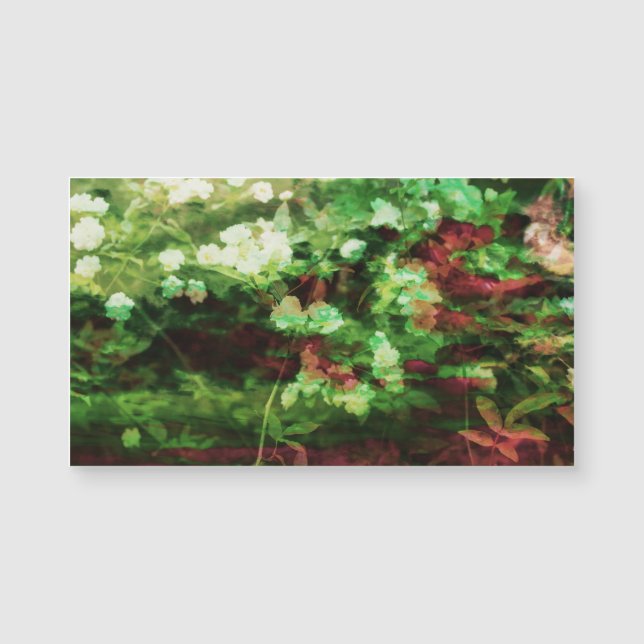 Patrón de arte de flor verde roja de Guay. Concept (Anverso)