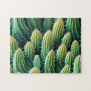 Patrón de cactus 1 El rompecabezas diario reciente