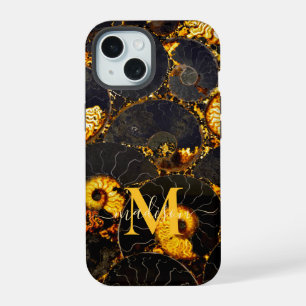 Patrón de cáscara de cáscara de Amber negro, fósil
