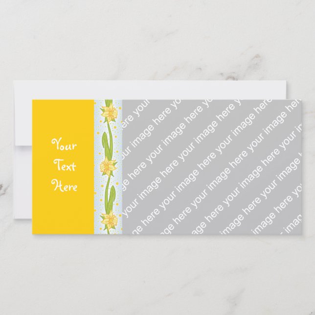 Patrón de Daffodil (Anverso)