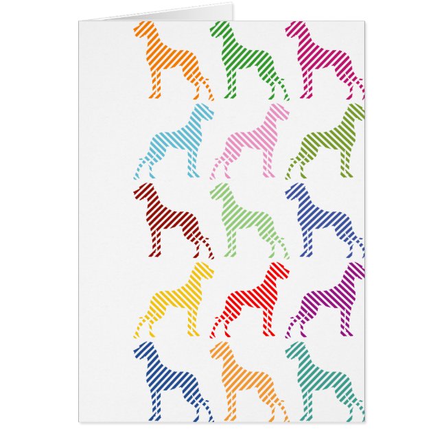 Patrón de dano fresco (Frente)