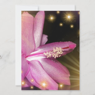 patrón de flor de color festivo