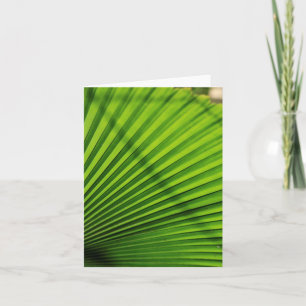 Patrón de hoja de palma gigante