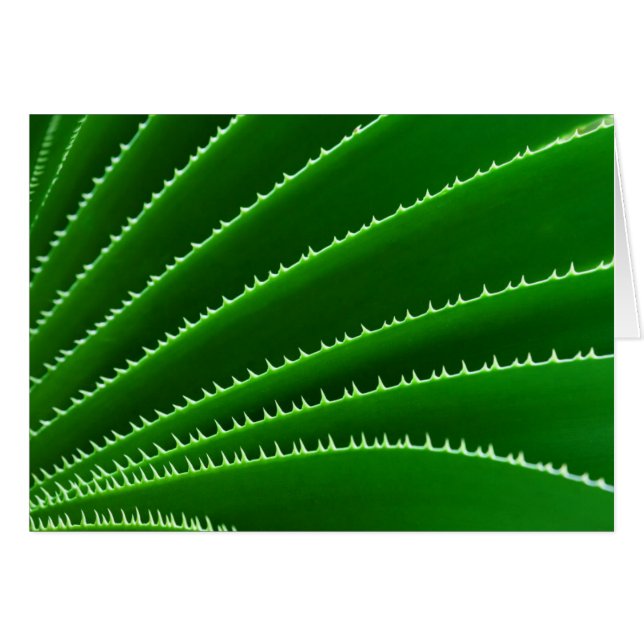 Patrón de hoja verde espigada (Anverso (Horizontal))