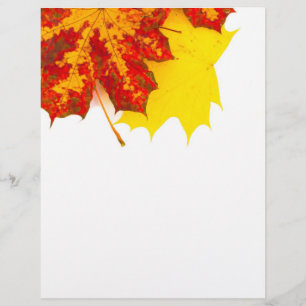 Patrón de hojas de otoño