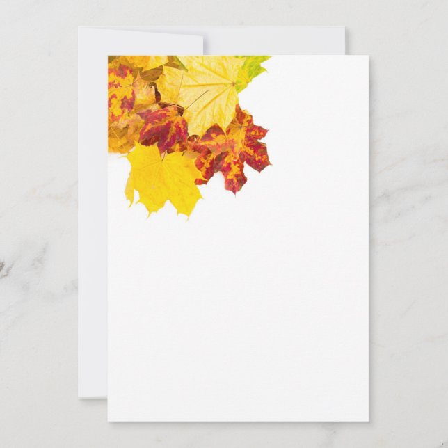 Patrón de hojas de otoño (Anverso)