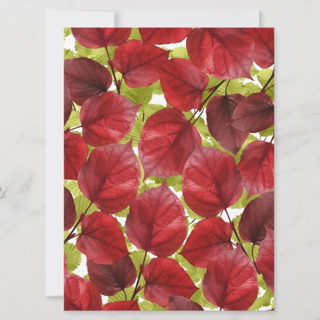 Patrón de hojas otoñales (Anverso)