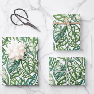 Patrón de hojas tropicales verdes