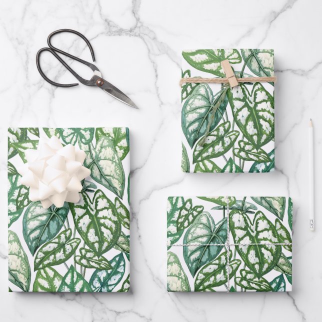 Patrón de hojas tropicales verdes (Anverso)