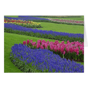 Patrón de jacinto de uva, tulipanes y