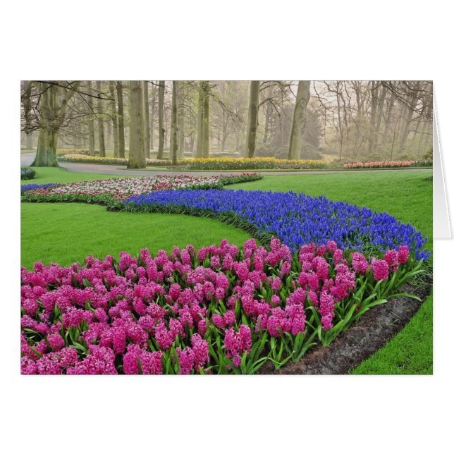 Patrón de jacinto de uva, tulipanes y 2 (Anverso (Horizontal))