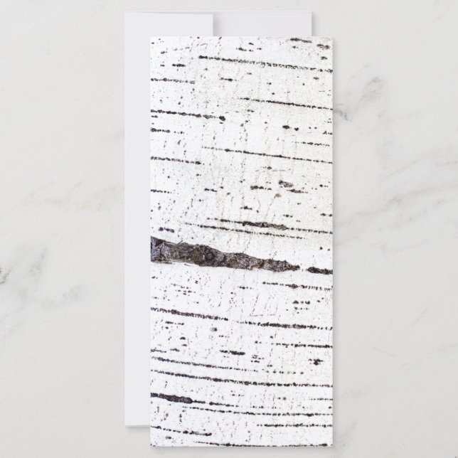 Patrón de la corteza de Birch (Anverso)