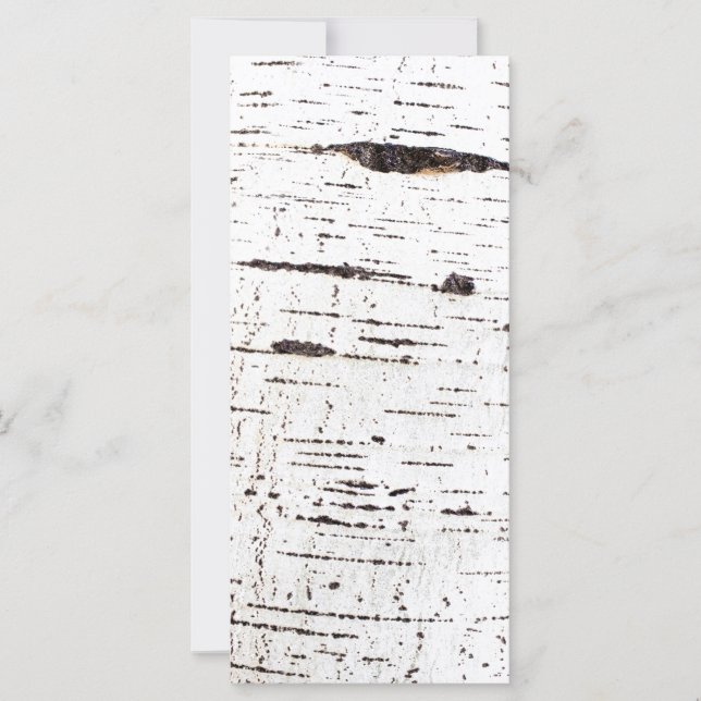 Patrón de la corteza de Birch (Anverso)