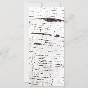 Patrón de la corteza de Birch