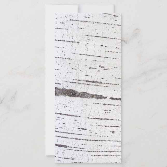 Patrón de la corteza de Birch (Anverso)