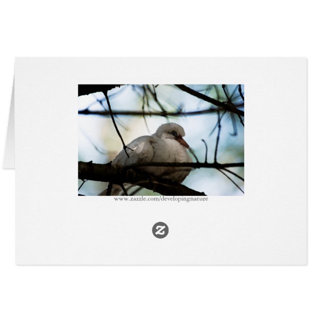 Patrón de línea (Reverso Horizontal)