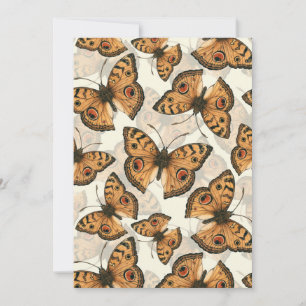 Patrón de mariposa marica