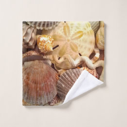 Patrón del dólar de arena de las marismas