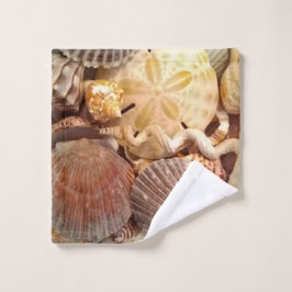 Patrón del dólar de arena de las marismas