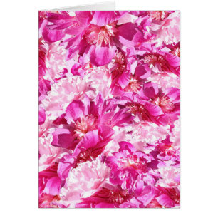 Patrón Floral de Peonía Rosa y Magenta en Blanco