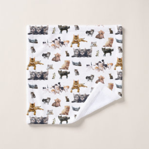 Patrón lindo con fotografías de gatos y gatitos