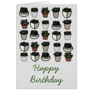 Patrón mini succulento lindo