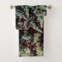 Patrón natural verde de Guay