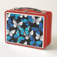 Patrón oscuro sin foco con mariposas azules morfo