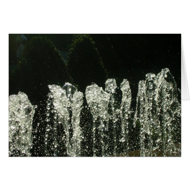 Patrones de la naturaleza (Anverso (Horizontal))