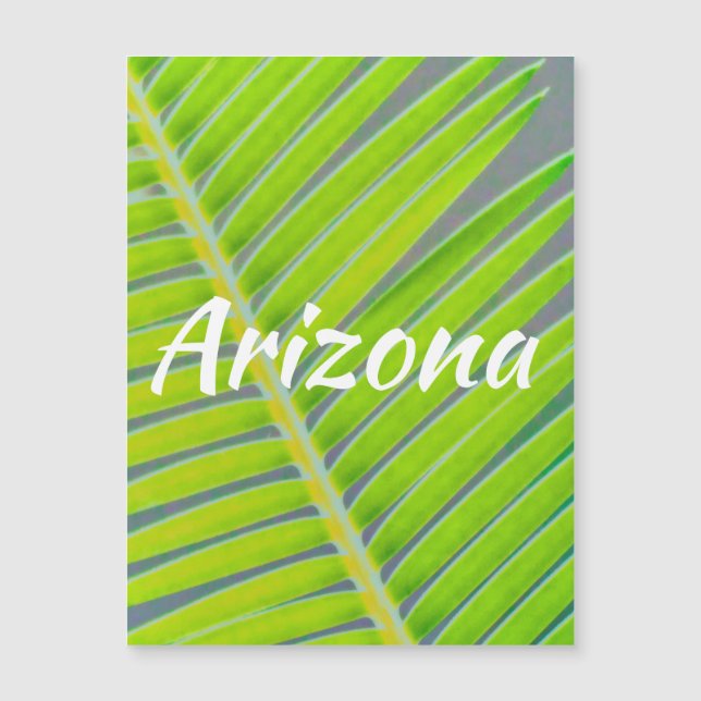 Patrones de palmeras, Arizona (Anverso)