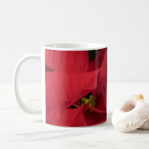 ¡Patrones de tazas vibrantes: ¡éxitos de la tienda