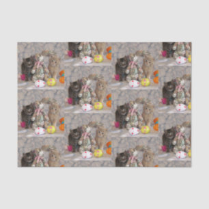 Patton and Buffing - Papel de tejidos para gatos