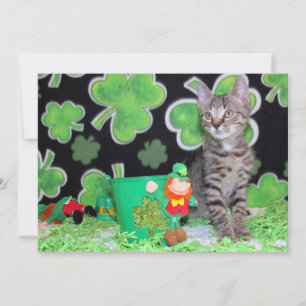 Patton's St. Patrick's Day Cat/ Kitten - Tarjeta p