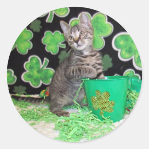 Patton's St. Patrick's Day Cat / Pegatinas gatitos