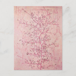 Paul Klee - Postal de primavera rosa en invierno p