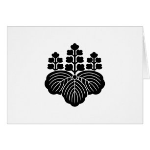 Paulownia de cinco-siete