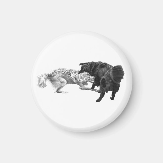 Pausa de Pug, Imán Sombreado (Frente)