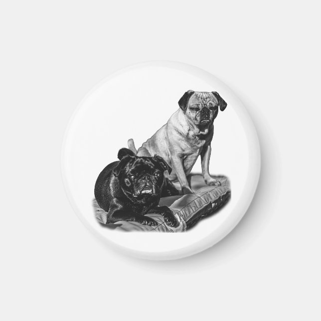 Pausa de Pug, Imán Sombreado (Frente)