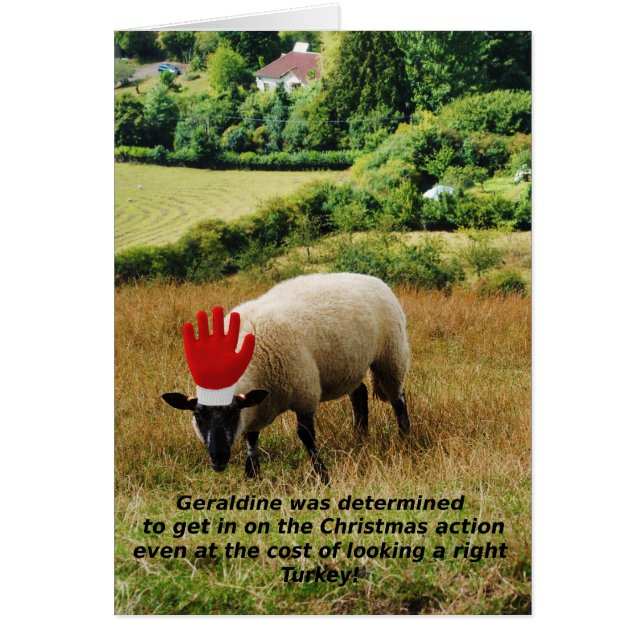 ¡Pavo derecho! (Frente)