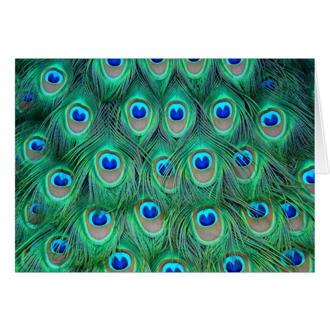 Pavo real (Anverso (Horizontal))
