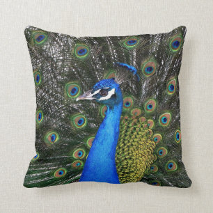 Pavo real almohada 20 x 20