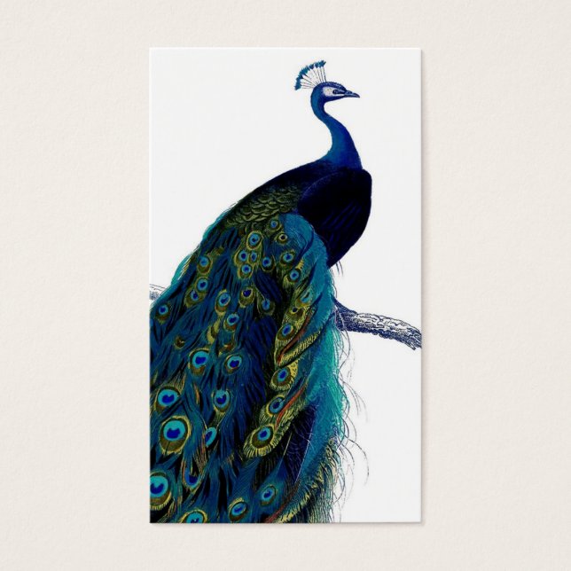 Pavo Real Azul Elegante Vintage (Frente)